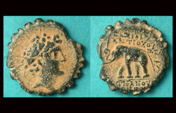 Seleucid, Antiochus VI Dionysus, Elephant Reverse!